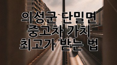 의성군 단밀면 중고차 가치, ✨최고가 받는 법✨