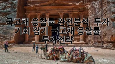 국고채 응찰률 완전분석! 💰 투자 기회 잡기 #국고채 #응찰률 #투자전략